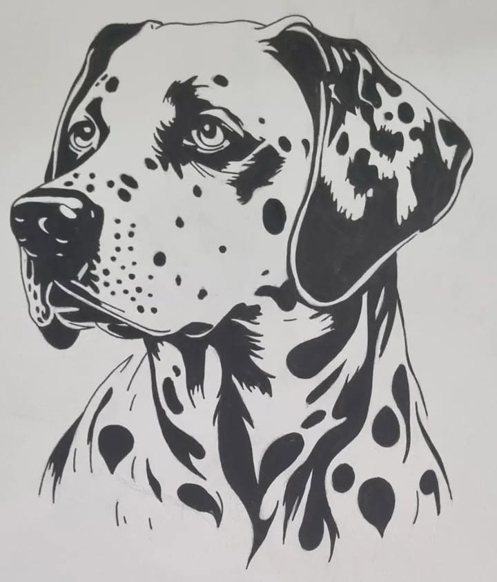 Regard fidèle