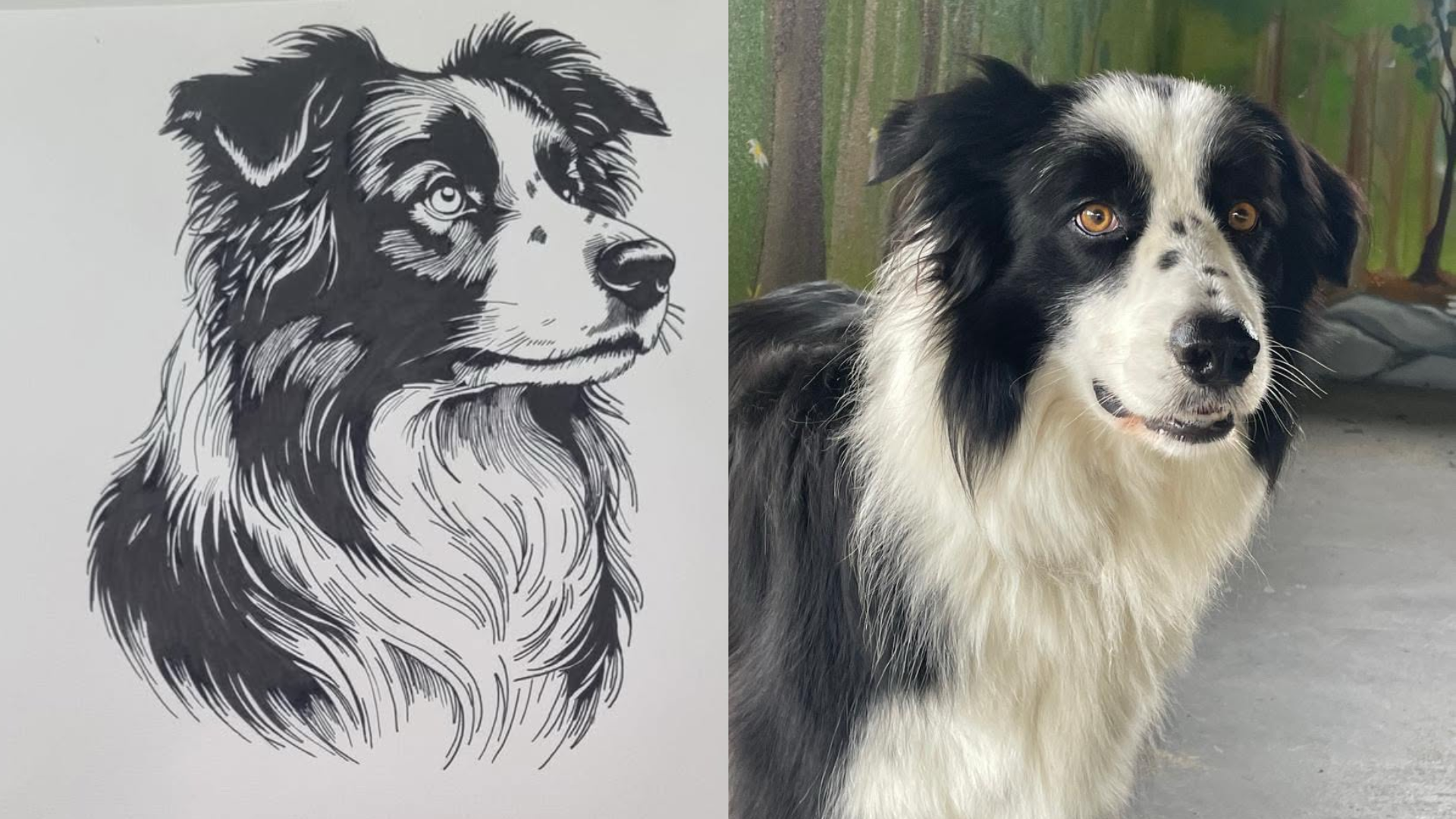Portrait de vos animaux